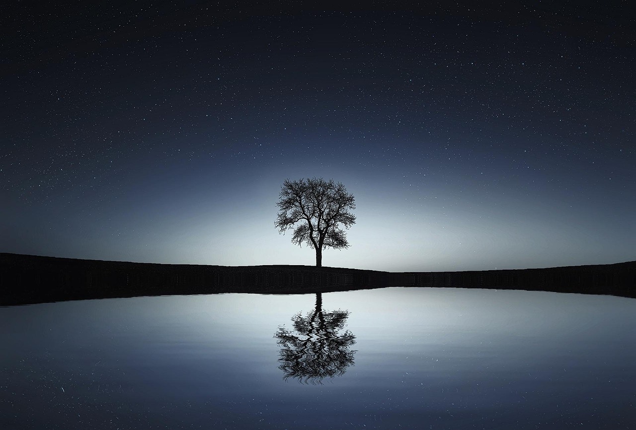 A bare solitary tree stands on a narrow dark shore beneath a starry blue-black sky and reflects in smooth water.